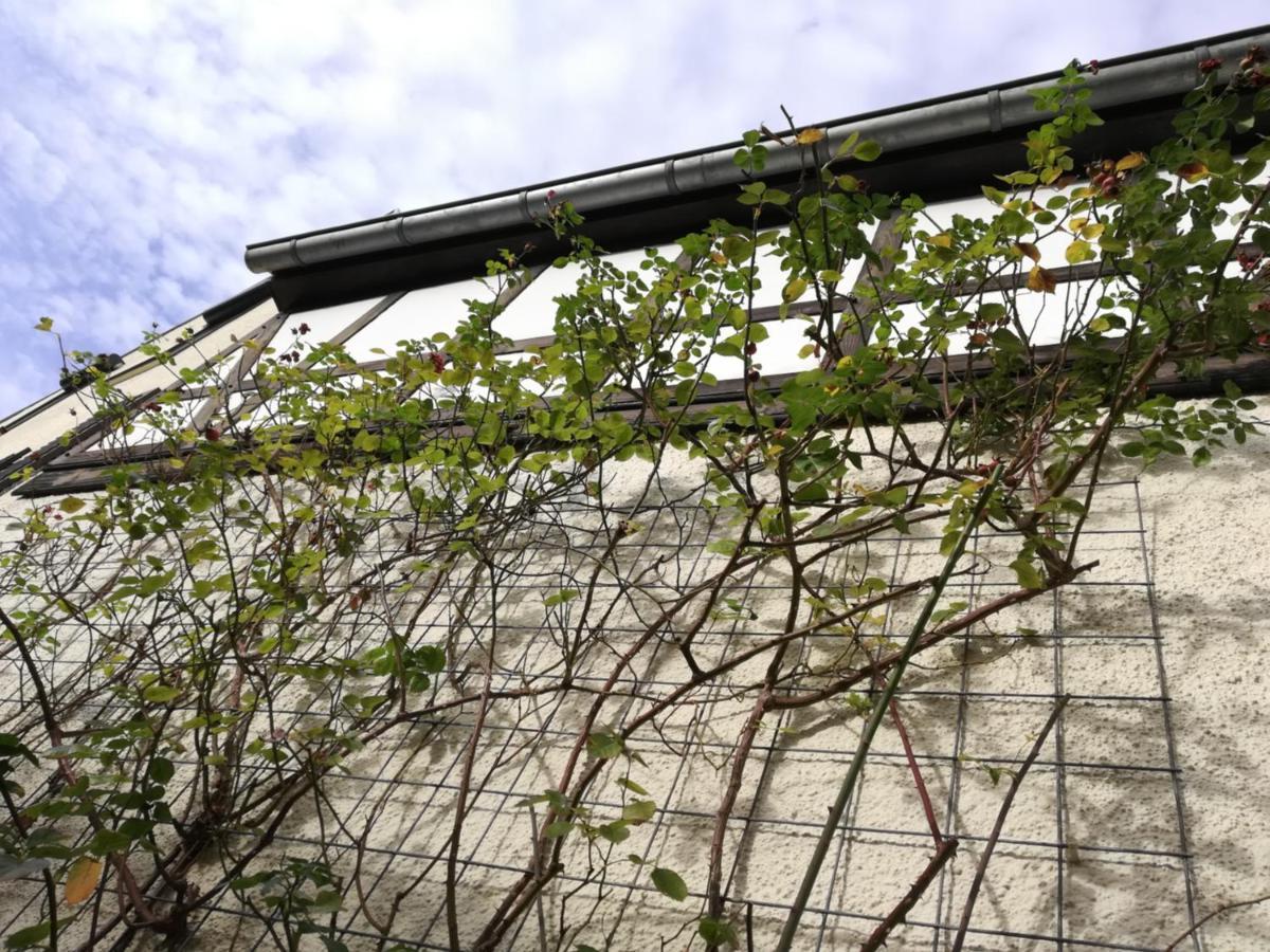 Praesenzhof Lay Apartment Bagian luar foto